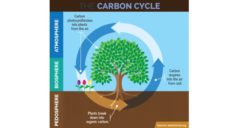 The importance of carbon monitoring systems